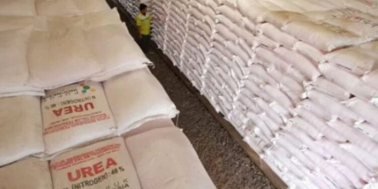 Pemerintah minta petani segera isi e-RDKK pupuk subsidi MT Okmar
